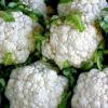 Калорийность цветной капусты: как приготовить вкусные и низкокалорийные блюда?
